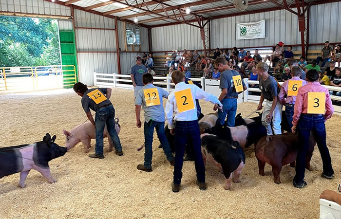 4-H