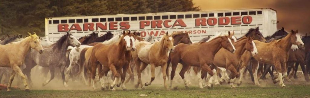 Barnes PRCA Rodeo