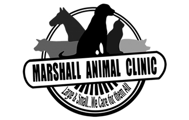 Marshall Animal Clinic