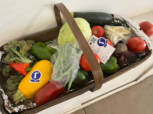 Open Class - basket full of vegetables