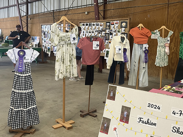 4-H Exhibit at 2024 Lyon County Fair