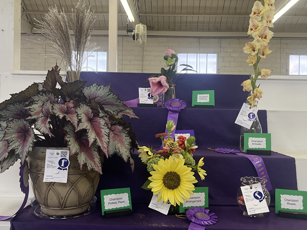 Open Class Exhibits at the Lyon County Fair