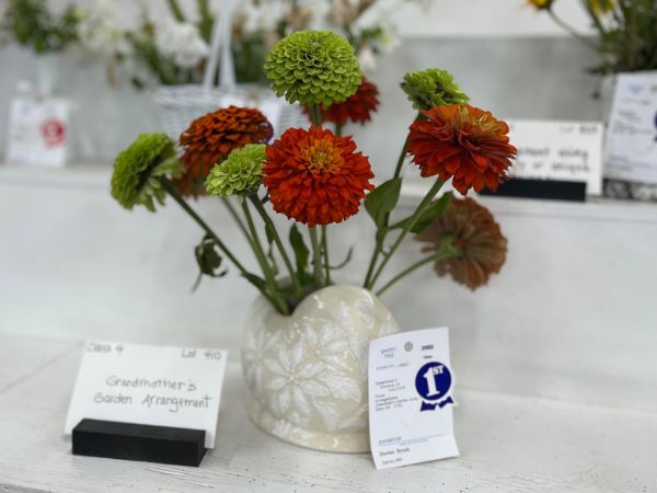 Open Class Exhibits